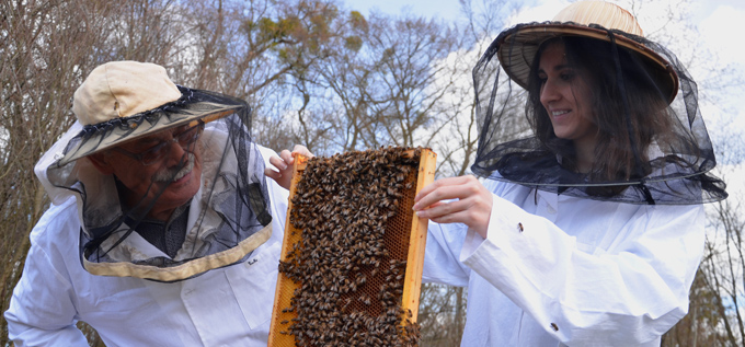 Bee-Keeping