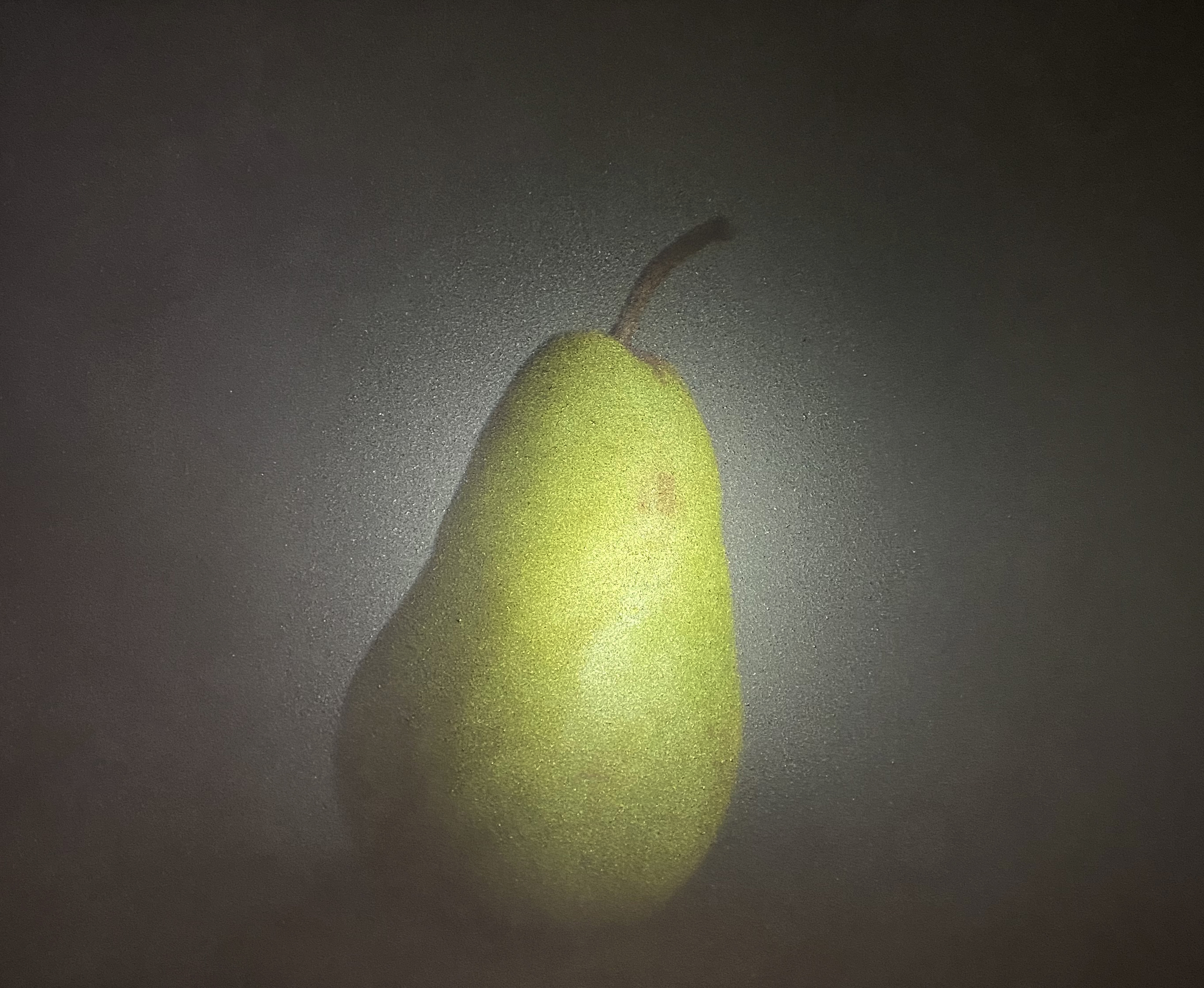 camera obscura pear